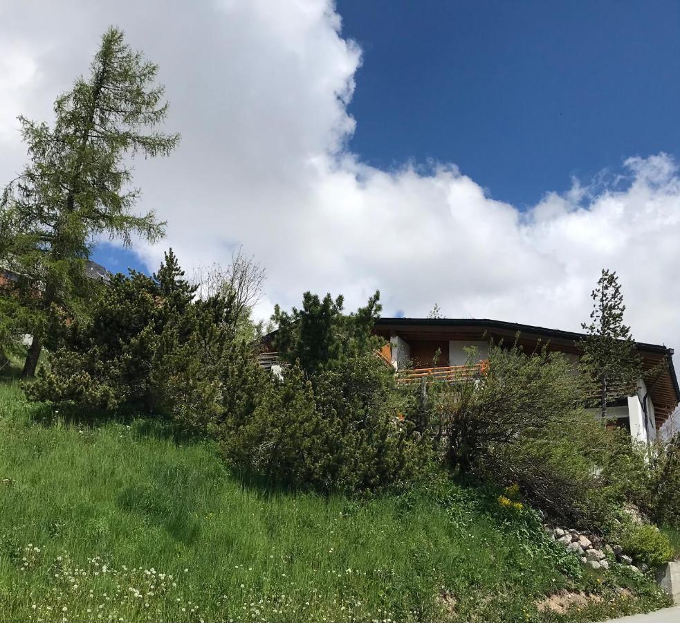 Comfort And Sunshine In Celerina Chesa Prasura Σελερίνα Εξωτερικό φωτογραφία